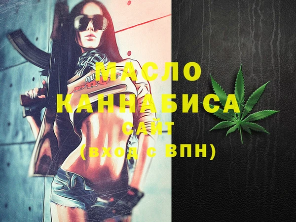 Альфа ПВП Няндома
