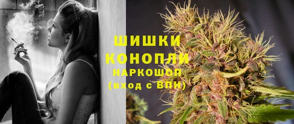 трава Алзамай