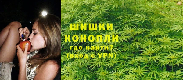 гидра Алексин