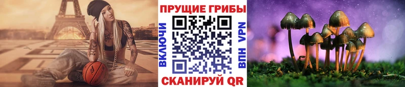 купить закладку  Иваново  Псилоцибиновые грибы Psilocybe 